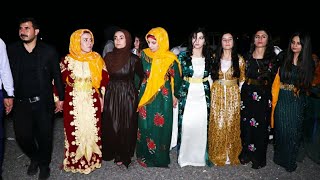 VİRANŞEHİR AŞİRET DÜĞÜNLERİ !!! KOMA WELAT &FOTO EVİN