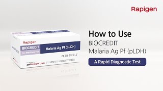 [Rapigen]How to use BIOCREDIT Malaria Ag Pf pLDH