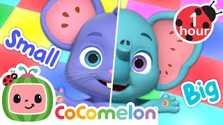 big small opposite friends song cocomelon animal time animals