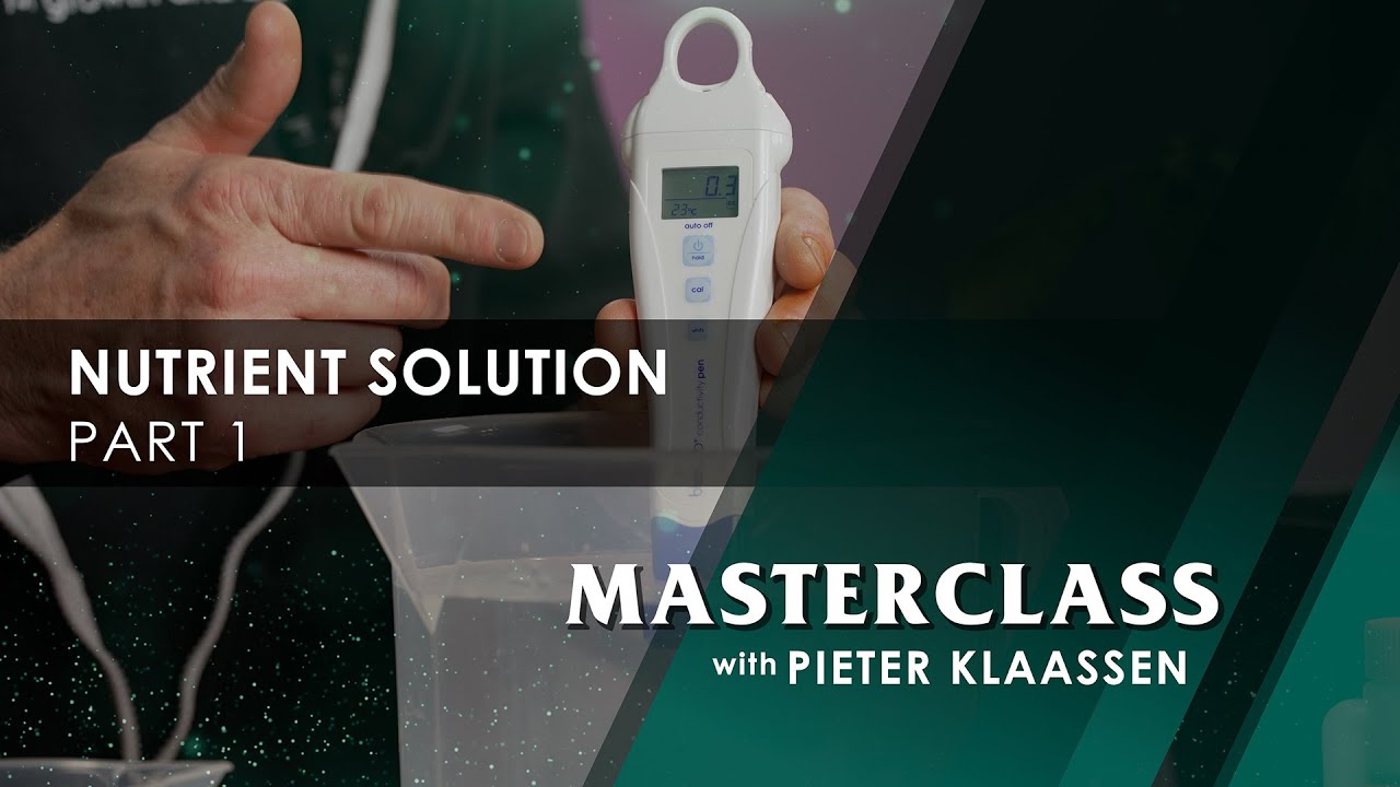 Мастер-класс CANNA – Решение проблемы питательных веществ. Часть 1.