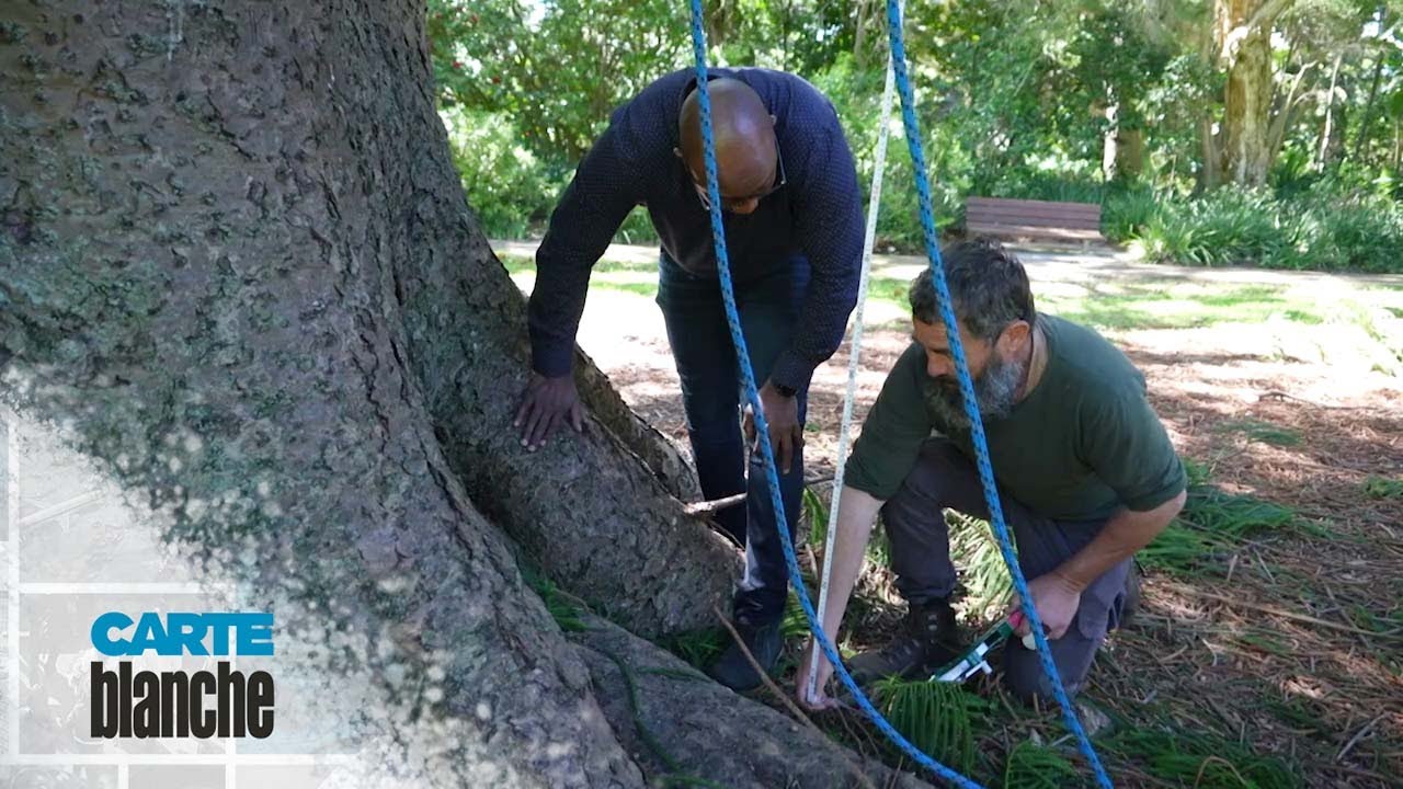 Trees vs fynbos | Carte Blanche | M-Net