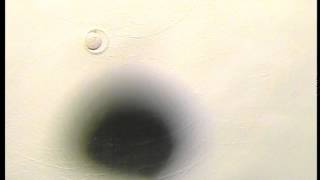 The Cryotech Method of Vitrification by Masa Kuwayama Part 6