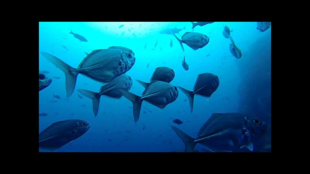 cocos-costa-rica-youtube