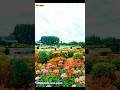Exploring the International Peace Garden | Hidden Gem at the US-Canada Border! #buhaycanada #border