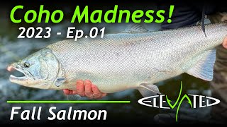 Coho Madness! | Oregon Fall Salmon 2023 | Ep.01