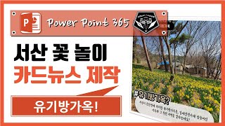 파워포인트 (Power point) 365 강의 #061 서산 꽃놀이 여행 유기방가옥 소개 카드뉴스 만들기 screenshot 4