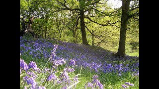 Mindfulness - Mindful self-compassion MSC - A self compassion break