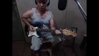 Fender Stratocaster Plus 1993 Usa