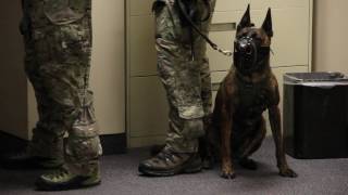 Information Emergency Response Team training in Olean 12-29-16 Guide