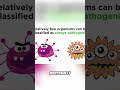 Unraveling Disease: Pathogens, Infections, and Host Response #shorts