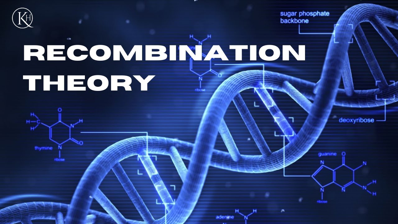 Recombination: How We Inherit Genes from Our Parents - YouTube