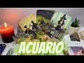 ✨ ACUARIO ♒️ ¡MARAVILLOSO! ESTA ESCRITO UN DESTINO JUNTOS, EN CAMINO UN “GRAN AMOR” DE VIDAS PASADAS