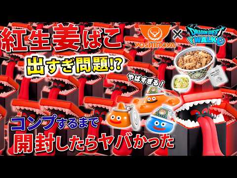 Too Much Pickled Ginger!? My Results from Unboxing Until I
