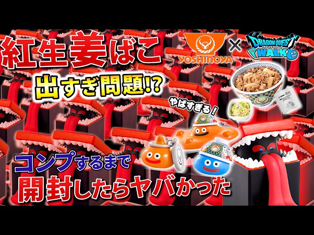 Too Much Pickled Ginger!? My Results from Unboxing Until I
