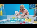 Puppy Bathing Championship Pedigree Commercial For Russia English Subs Puppy Bathing Championship Pedigree Commercial For Russia English Subs