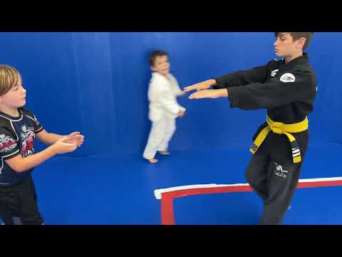 BJJ Timing and Opportunity Training