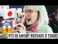 ЗООПАРК В ТОКИО/РЕАКЦИИ НА ЖИВОТНЫХ/ВЕЧЕР НА СИНДЗЮКУ