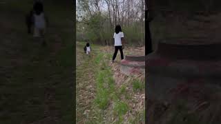 Download Lagu CANE CORSO PROTECTING FAMILY FROM WILD ANIMALS #canecorso #breeders #kingofthedogs #dogbreed MP3