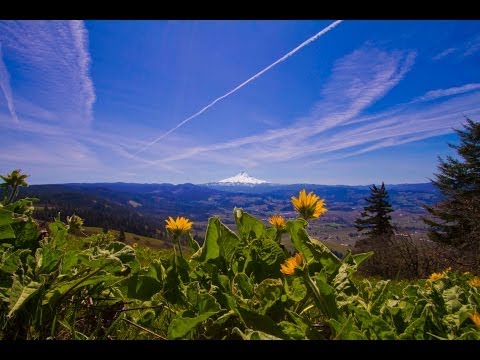 Grant's Getaways:  Hood River Mountain Trail