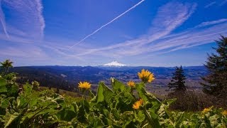 Grant's Getaways: Hood River Mountain Trail