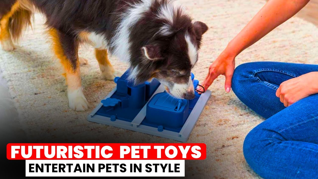 Футуристические игрушки для животных, которые развлекают стильно || Умные, стильные и веселые