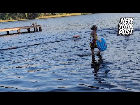 Massive alligator in ‘attack mode’ creeps up on kids in lake as parents scream