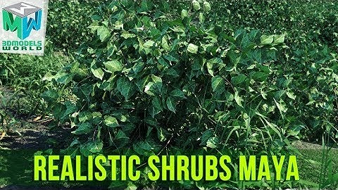 Create Realistic Shrubs in Maya Content Browser Tutorial - Quickly