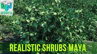 Create Realistic Shrubs in Maya Content Browser Tutorial - Quickly