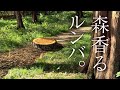 森香るルンバ