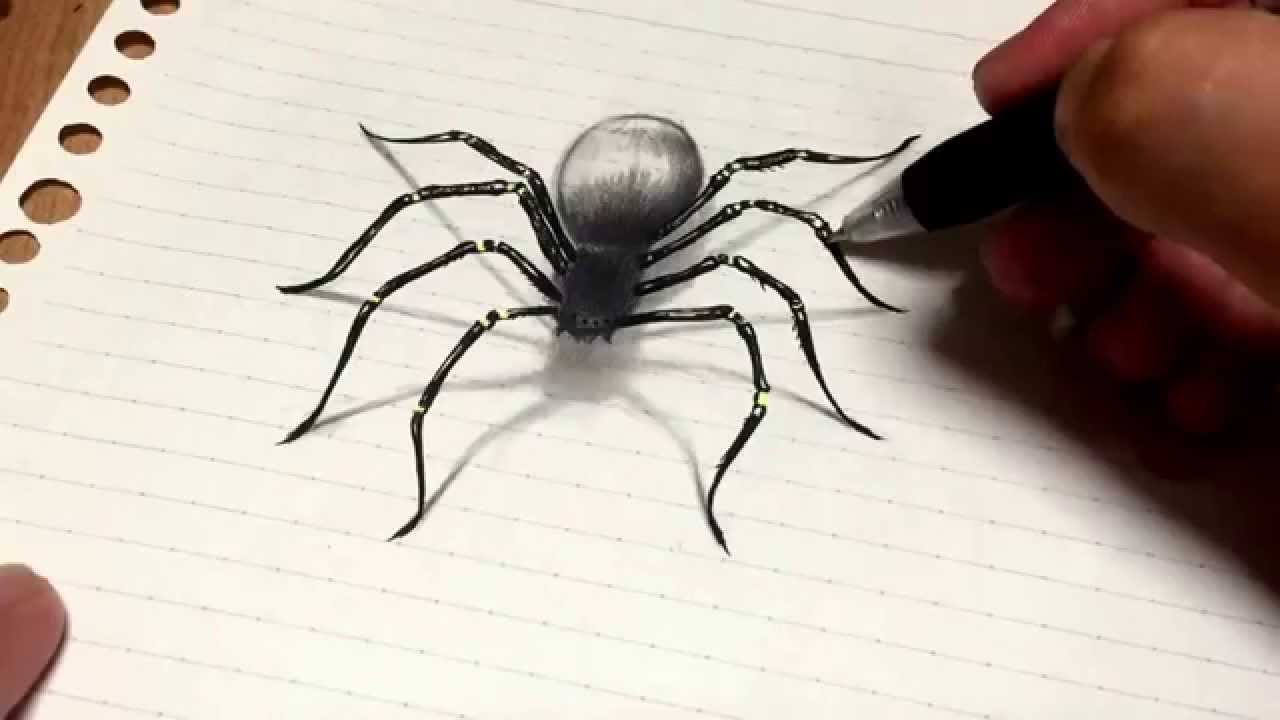 クモを鉛筆で描きました 3dアート Drawing 3d Spider Youtube