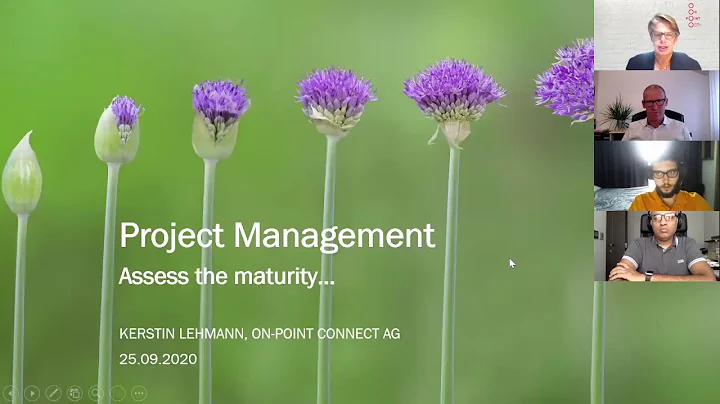 Project Management and how to assess its maturity