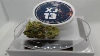 XJ13 by Space Weed