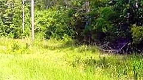 Homes for Sale - 282 Village Dr Beaufort NC 28516 ...