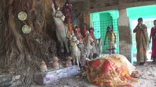 Jhalmale lal cheli sad