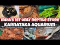 Indias 1st reptile store  karnataka aquarium   all amazing reptiles  tortoises  snakes python