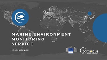 Copernicus Marine Environment Monitoring Service: Ocean Current Forecast for Routing Activities