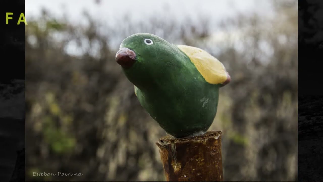 Estancia Sierra España, Patagonia Argentina