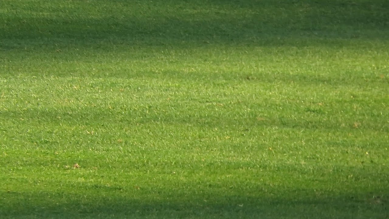 [직관 브이로그]