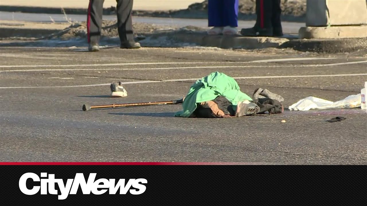 Man in 60s dies after being hit by truck in NE Calgary - YouTube