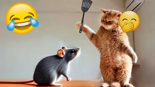 Try Not To Laugh‍Funniest Cats and Dogs 2024Part 12