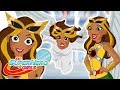 Los Mejores Episodios de Hawkgirl | DC Super Hero Girls Latino America