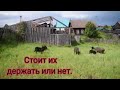 Первые минуты жизни!!! Сколько их после зимы? Будем держать дальше.