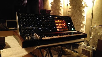 Arturia Matrixbrute demo#1