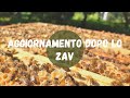 APICOLTURA: aggiornamento api + trattamento dopo zav