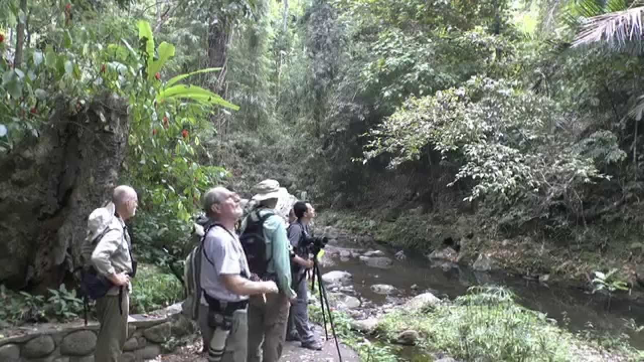 Philippines 2015 Part 4 