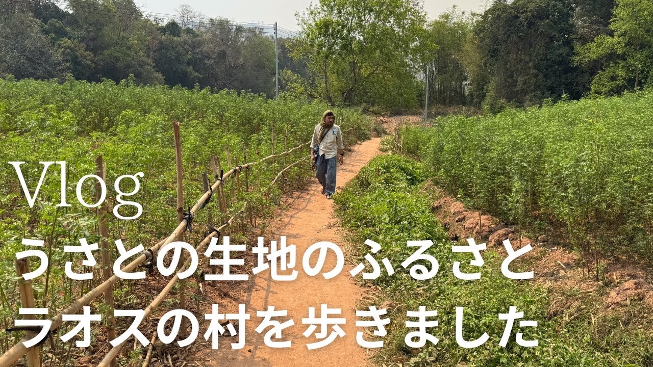 Vlog】うさとの手織り生地のふるさと、ラオスの村を歩きました【暮らし