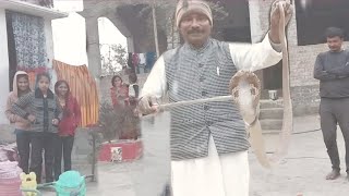 खतरनाक परिस्थितियों में कोबरा का मुश्किल रेस्क्यू 😵Cobra's difficult rescue in dangerous conditions