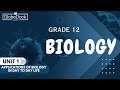 Grade 12 Biology Unit 1 National Exam Questions 