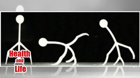 Researchers Develop 3D Printed Smart Hydrogel That Can Walk Underwater and ...