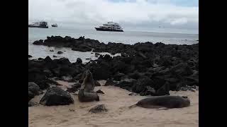San Cristobal Island, Galapagos, Ecuador.